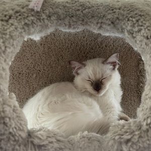 Meet your Posher, Shawn